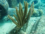 Curacao 04-12 042